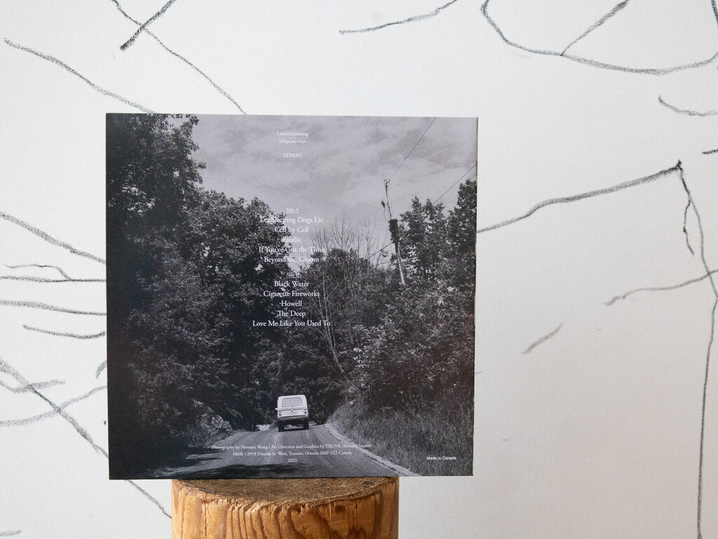 Mjölk John Baker - Beyond the Gloom Vinyl LP