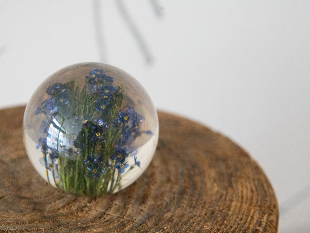 Hafod Grange Paperweight Forget-Me-Not Paperweight