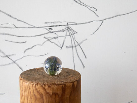 Hafod Grange Paperweight Forget-Me-Not Paperweight
