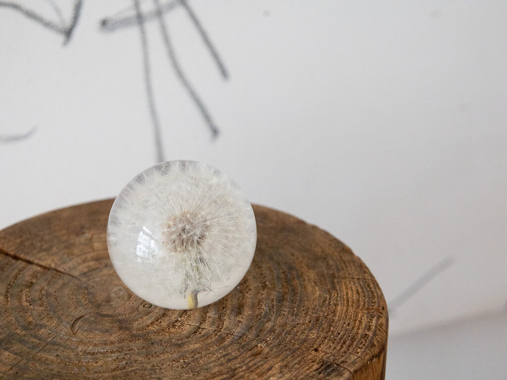Hafod Grange Paperweight Dandelion Paperweight