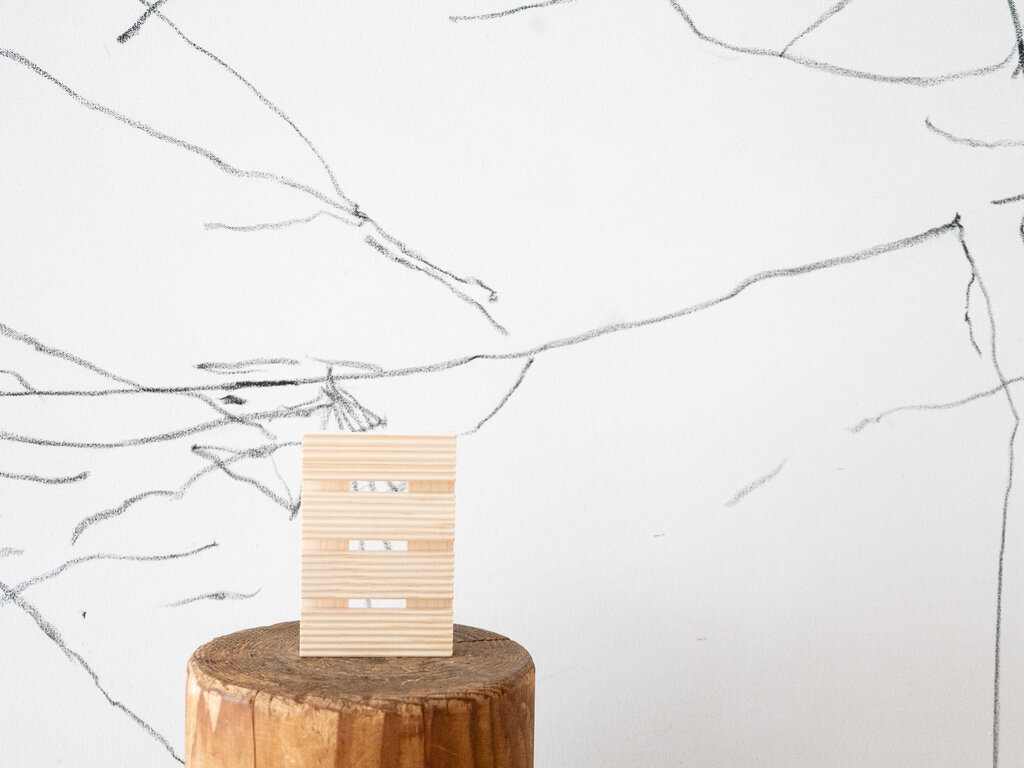 Tosaryu Hinoki Soap Rest