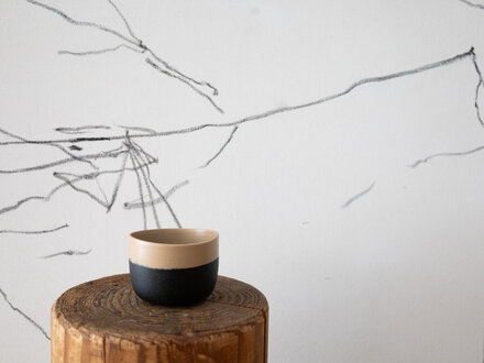 Takashi Tomii Somei Yoshino Cherry B&W Cup