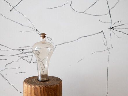 Kitchen Glass Decanter by Taku Nagaki