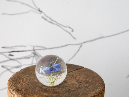 Hafod Grange Paperweight Nigella Paperweight
