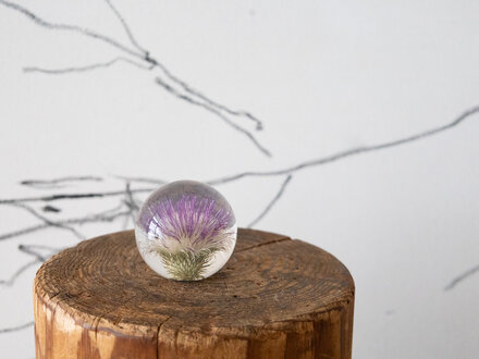Hafod Grange Paperweight Thistle Paperweight, Small