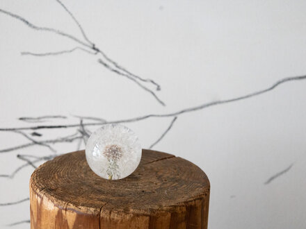 Hafod Grange Paperweight Dandelion Paperweight