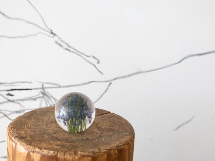 Hafod Grange Paperweight Forget-Me-Not Paperweight