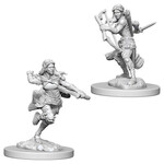 WizKids Dungeons & Dragons Nolzur`s Marvelous Unpainted Miniatures: W4 Air Genasi Female Rogue