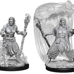 WizKids Dungeons & Dragons Nolzur`s Marvelous Unpainted Miniatures: W5 Water Genasi Male Druid