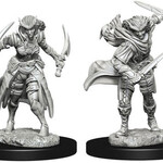 WizKids Dungeons & Dragons Nolzur`s Marvelous Unpainted Miniatures: W7 Tiefling Female Rogue