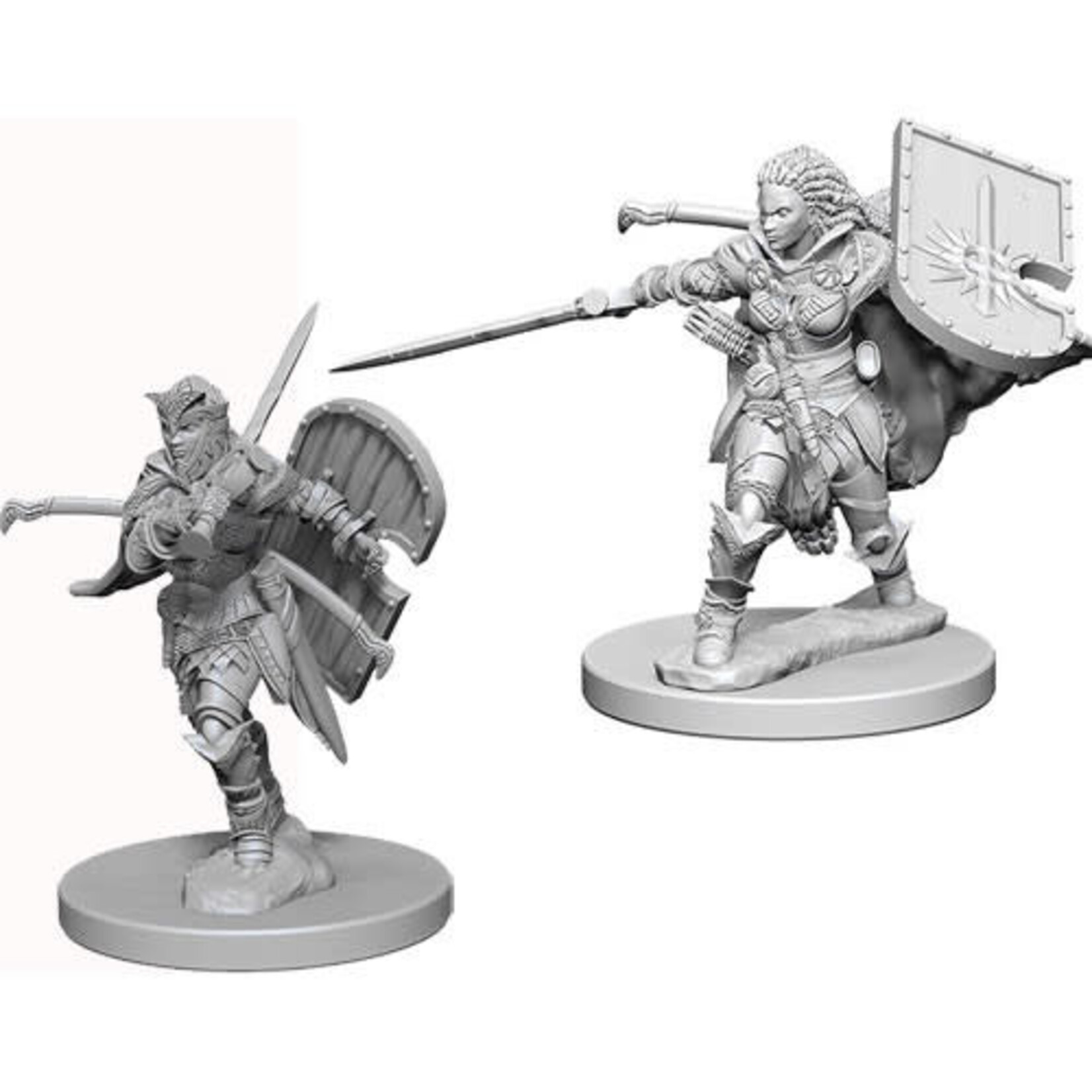 WizKids Pathfinder Deep Cuts Unpainted Miniatures: W1 Human Female Paladin