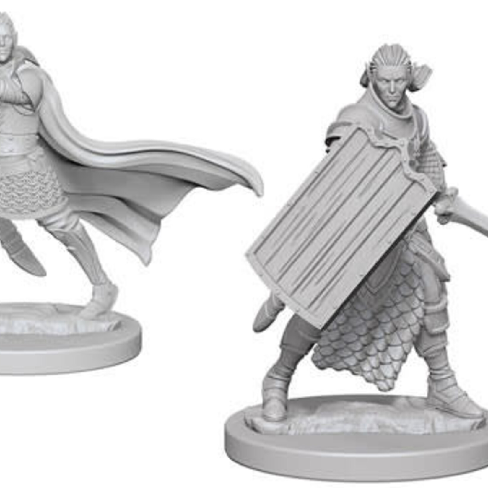 WizKids Pathfinder Deep Cuts Unpainted Miniatures: W2 Elf Male Paladin