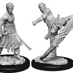 WizKids Dungeons & Dragons Nolzur`s Marvelous Unpainted Miniatures: W10 Male Half-Elf Monk