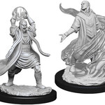 WizKids Dungeons & Dragons Nolzur`s Marvelous Unpainted Miniatures: W11 Male Elf Sorcerer