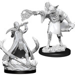 WizKids Dungeons & Dragons Nolzur`s Marvelous Unpainted Miniatures: W11 Arcanaloth & Ultroloth