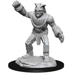 WizKids Dungeons & Dragons Nolzur`s Marvelous Unpainted Miniatures: W11 Stone Golem