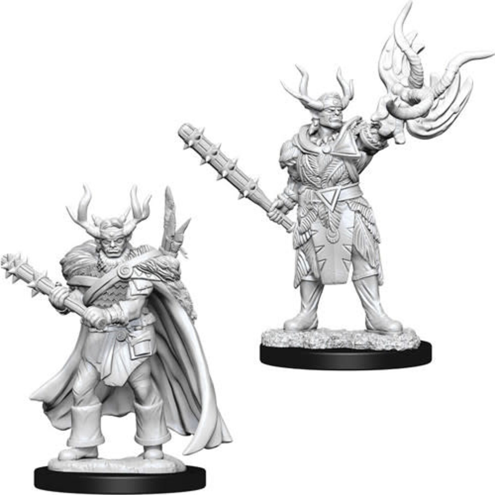 WizKids Pathfinder Deep Cuts Unpainted Miniatures: W10 Male Half-Orc Druid