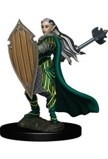 WizKids Dungeons & Dragons Fantasy Miniatures: Icons of the Realms Premium Figures W4 Elf Paladin Female