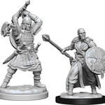 WizKids Dungeons & Dragons Nolzur`s Marvelous Unpainted Miniatures: W13 Human Barbarian Male