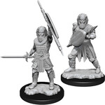 WizKids Dungeons & Dragons Nolzur`s Marvelous Unpainted Miniatures: W13 Human Fighter Male