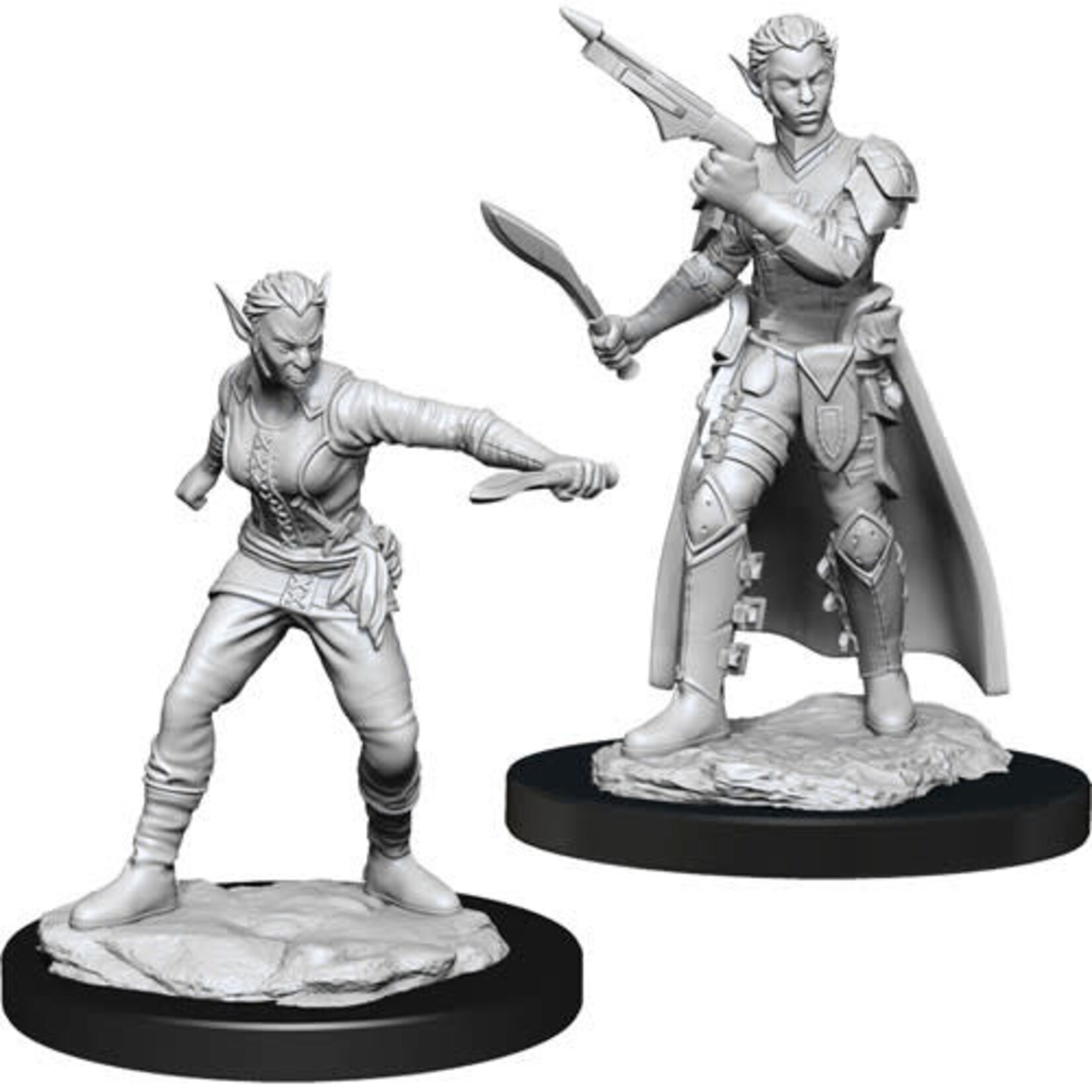 WizKids Dungeons & Dragons Nolzur`s Marvelous Unpainted Miniatures: W13 Shifter Rogue Female