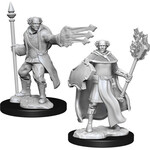 WizKids Dungeons & Dragons Nolzur`s Marvelous Unpainted Miniatures: W13 Multiclass Cleric + Wizard Male