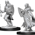 WizKids Dungeons & Dragons Nolzur`s Marvelous Unpainted Miniatures: W14 Kalashtar Cleric Female