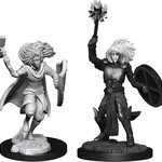 WizKids Dungeons & Dragons Nolzur`s Marvelous Unpainted Miniatures: W14 Changeling Cleric Male