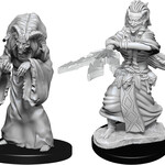 WizKids Dungeons & Dragons Nolzur`s Marvelous Unpainted Miniatures: W14 Night Hag & Dusk Hag