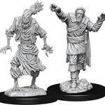 WizKids Dungeons & Dragons Nolzur`s Marvelous Unpainted Miniatures: W14 Scarecrow & Stone Cursed