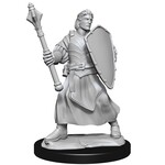 WizKids Critical Role Unpainted Miniatures: W1 Human Clovis Concord Cleric Male