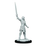 WizKids Critical Role Unpainted Miniatures: W1 Human Dwendalian Empire Fighter Female