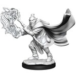 WizKids Critical Role Unpainted Miniatures: W1 Hobgoblin Wizard and Druid Male