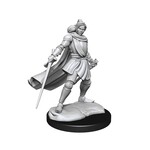 WizKids Critical Role Unpainted Miniatures: W1 Half-Elf Paladin Xhorhas Female