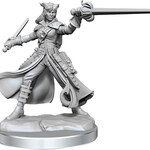 WizKids Dungeons & Dragons Frameworks: W01 Tiefling Rogue Female