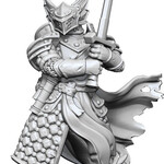 WizKids Dungeons & Dragons Frameworks: W01 Elf Wizard Female