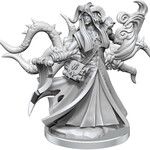 WizKids Dungeons & Dragons Frameworks: W01 Tiefling Warlock Male