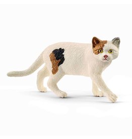 Schleich Schleich American Shorthair Cat