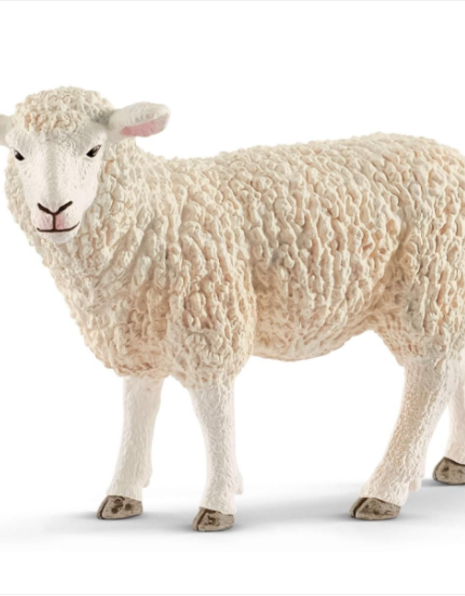 Schleich Schleich Sheep