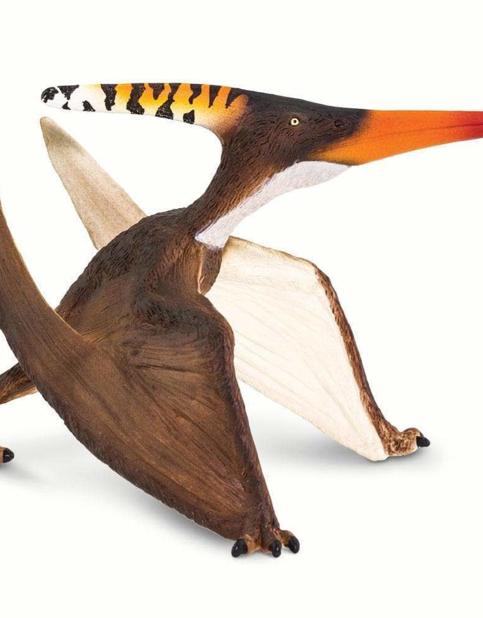 Safari Safari Pteranodon
