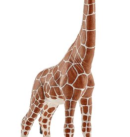 Schleich Schleich Giraffe, female