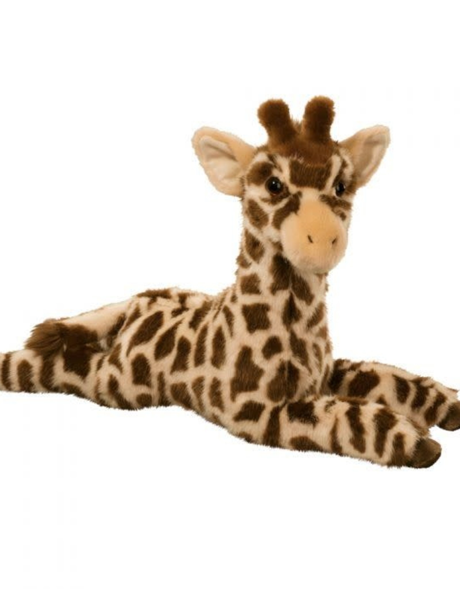 Douglas Jovi Giraffe