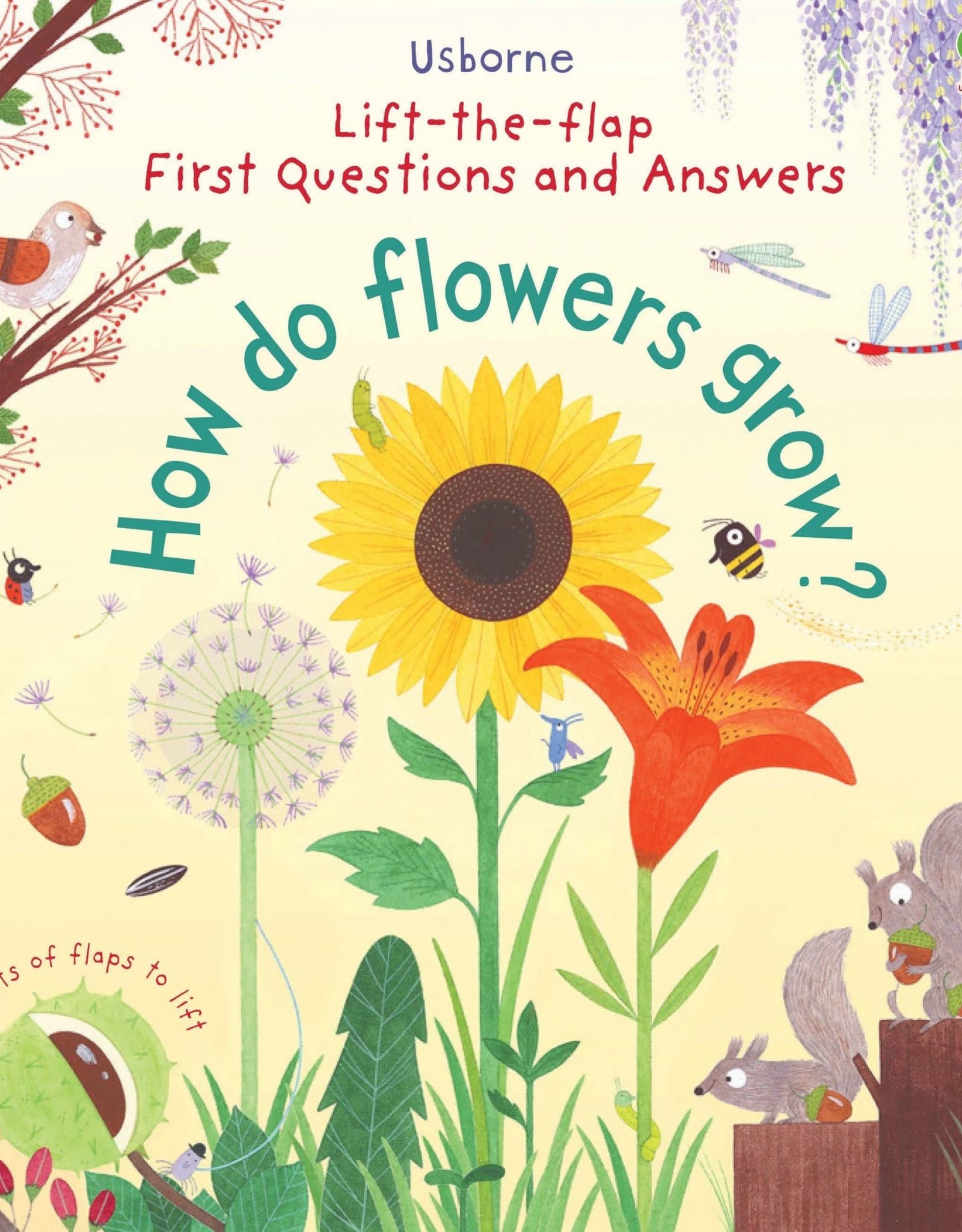 Usborne How Do Flowers Grow?