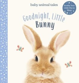 Goodnight Little Bunny