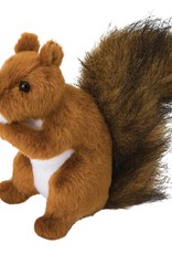 Douglas Red Squirrel