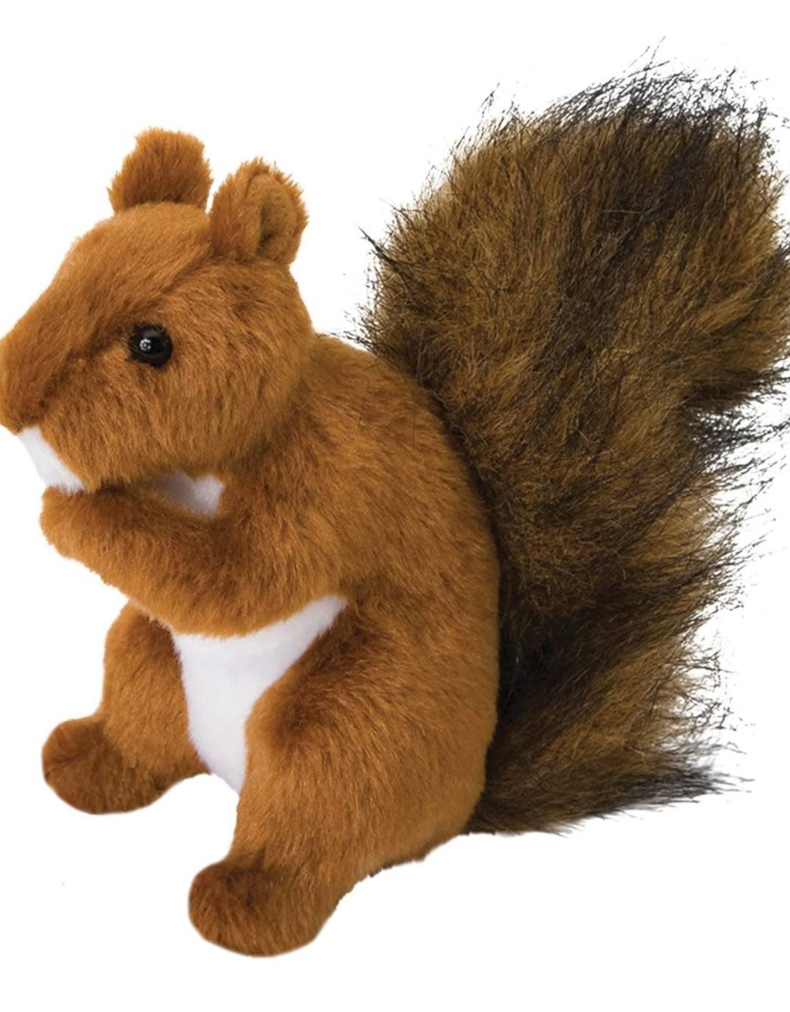 Douglas Red Squirrel