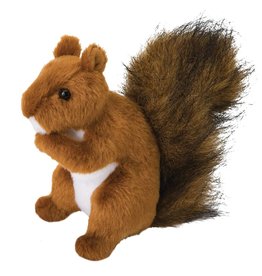 Douglas Red Squirrel