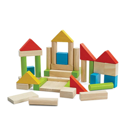 PlanToys Plan Toys Colorful 40 Unit Blocks