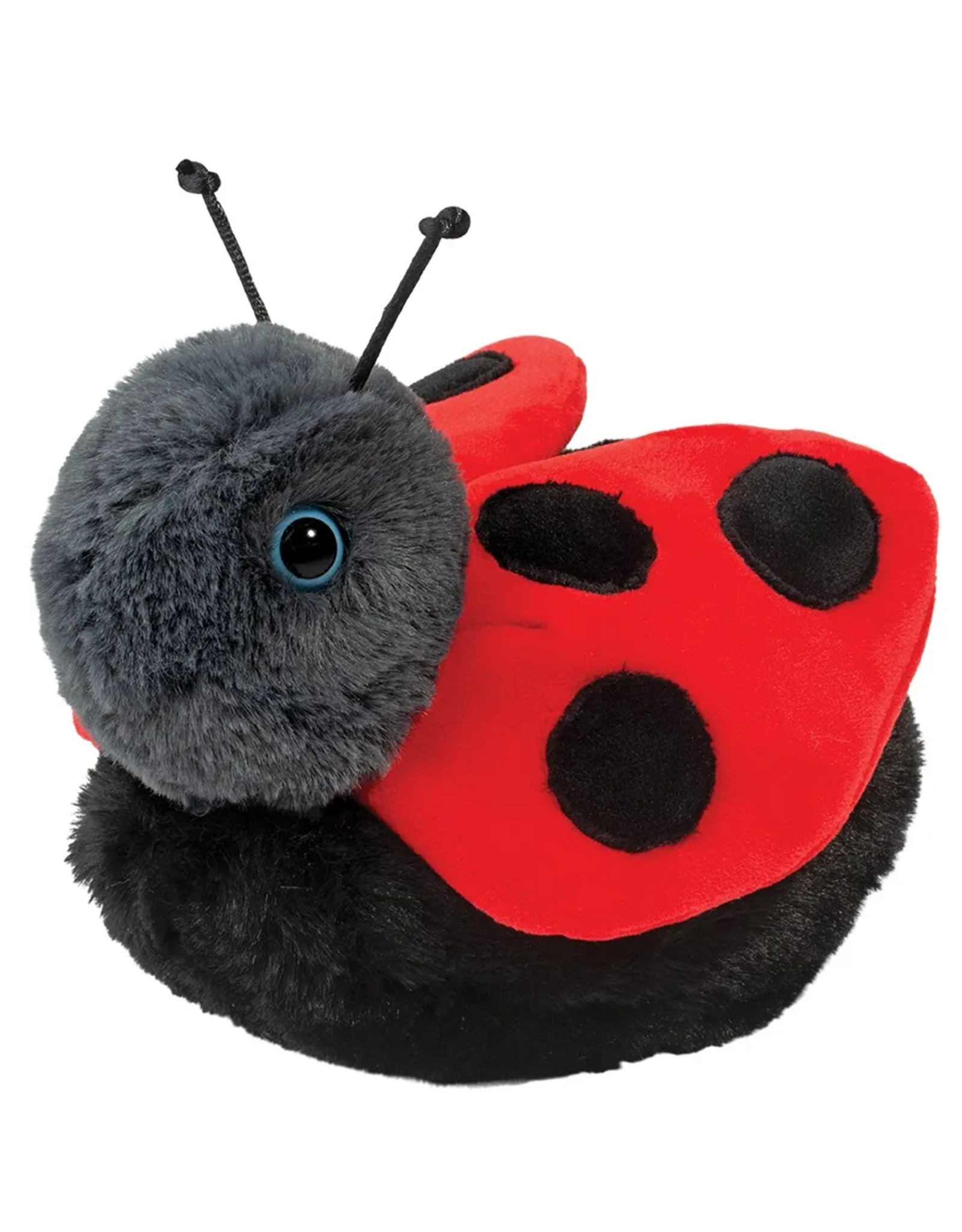 Douglas Bert Ladybug
