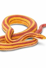 Safari Safari CORN SNAKE